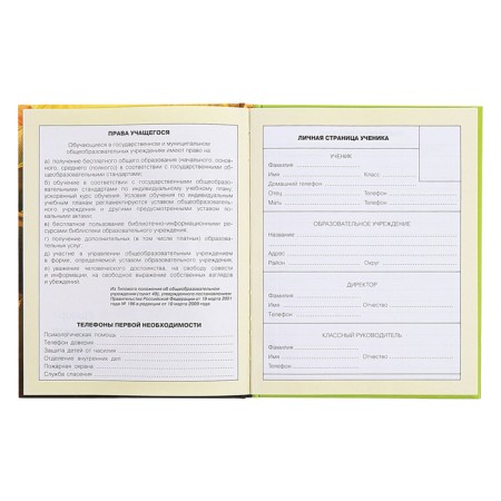 Diary for grades 1-4, hard cover "duckling", matte lamination, selective varnish, block 60 g/m2-5