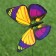 STETER "Olvie butterfly" 10x8cm/30cm, set 10pcs, mix