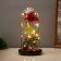 Halloween Light Sobe "Spider with Rose" 1.5W, LED, 3XAAA, Black USB 11x11x21cm