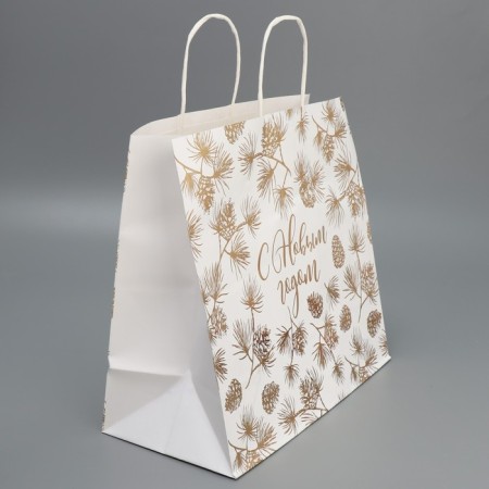 Package Gift Craft Gold, 32 x 28 x 15 cm, New Year-2