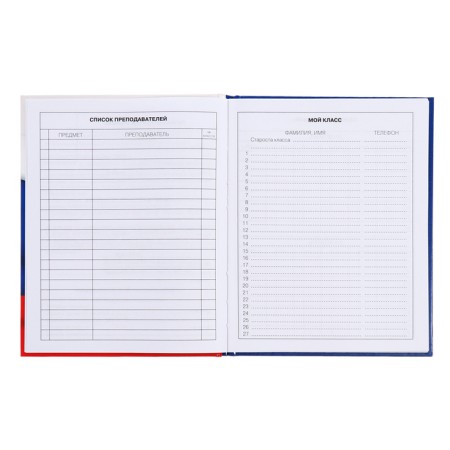 Diary for grades 5-11, 48 sheets of "Russian schoolchild No. 4", hard cover, glossy lamination, block 60 g/m2-5