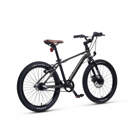 Bicycle 20 ’’ maxiscoo 7bike m700, graphite color-3