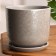 Pit Flower python gray 5.4 l