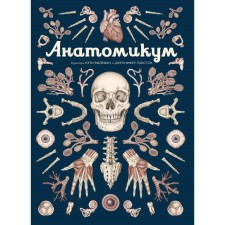 Anatomikum. Pakston D.