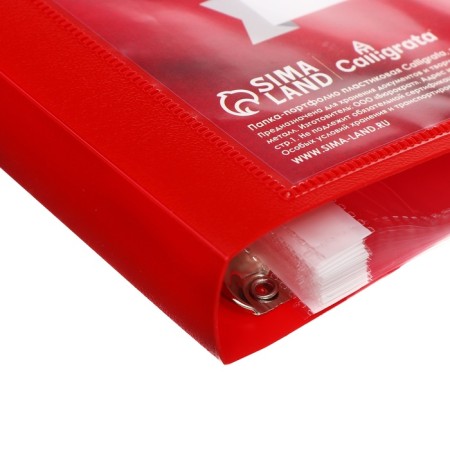 A4 Portfolio folder, calligrata "coat of arms", plastic, on 4 rings, for a student, 20 files-2