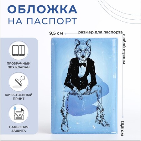 Cover for passport, blue color