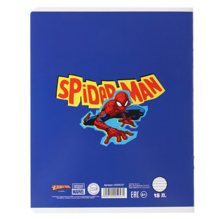 Notebook in a line of 18 sheets, 5 types of mix, cover coated cardboard, spider-man-3