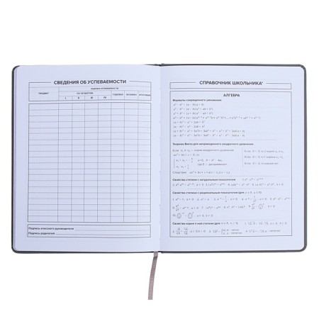 Universal Grade 1-11 Diary, 48 JIUCY sheets, firm artificial leather cover, foil embossing, pancake embossing, rhinestones, liesse-10