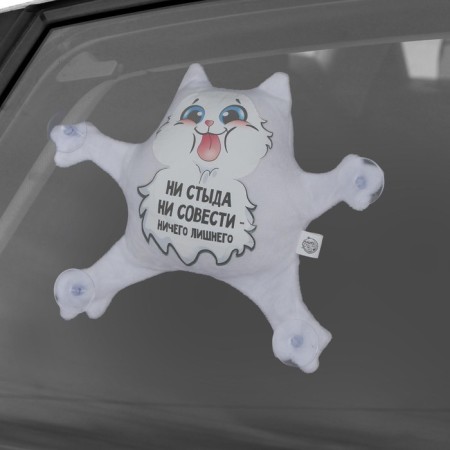 Auto -toe "no shame, no conscience", cat, on suction cups-1