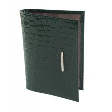 Cover for passport, green color