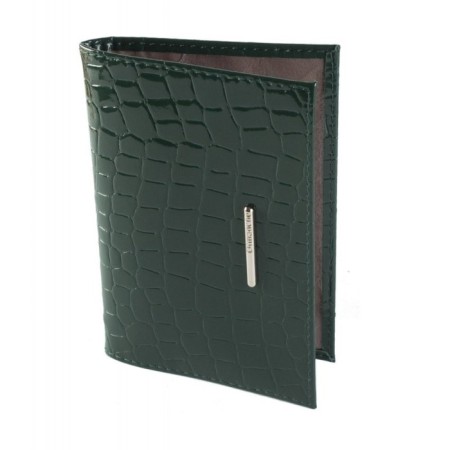 Cover for passport, green color