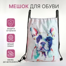 Bag for shoes on the lace, white color