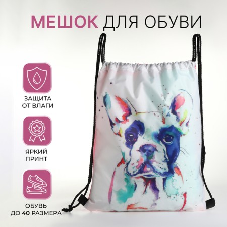 Bag for shoes on the lace, white color