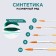 Synthetics Brush Round No. 4