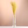 Set of dried flowers "Miscantus", banch 3-5 pcs, length 60 (+/- 6 cm), yellow