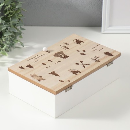 Casket tree with divisions "Forest Beasts" 23x15x8.3 cm-4