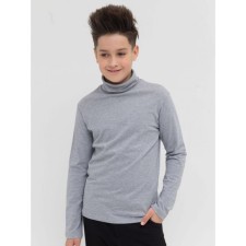 Turtleneck for the boy Pelican, height 122 cm, color gray
