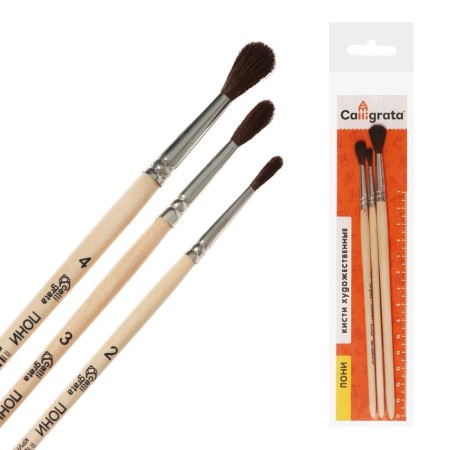 Set of brushes ponies 3 pieces, calligrata No. 2 (round No. 2, 3, 4), wooden handle-2