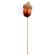 Decor for the creativity of "Acorn" set 20pcs, 3x2cm