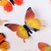 Set for decorating "Butterflies", 12 pcs, yellow color