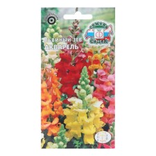 Flower seeds Lion Zev 