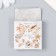 Stickers for creativity "sea shells" set of 46 pcs 4.4x4.4x1.1 cm
