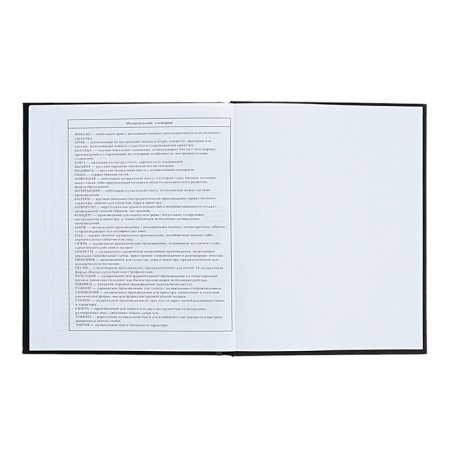 Diary for the MIXTAPE music school, 48 sheets, solid cover, matte lamination, foil embossing, offset block-11