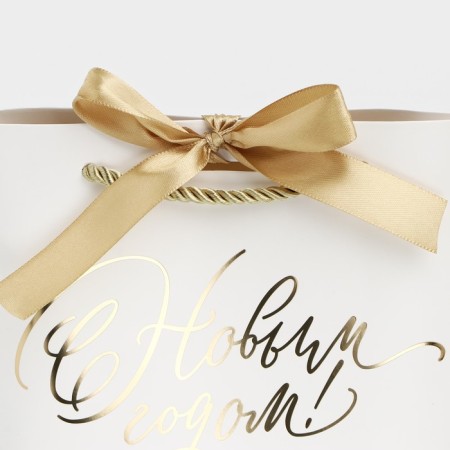 Gift package "Happy New Year", 21 x 17 x 7 cm, new year-3