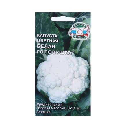 Seeds Cabbage Color "White Head" F1 0.5 g