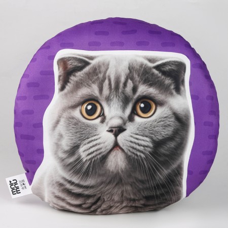 Pillow "British"-5