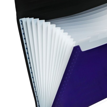 Folder file Calligrata Top Deluxe 13 Department. A4 plastic 1.0mm black. Cut in color-4