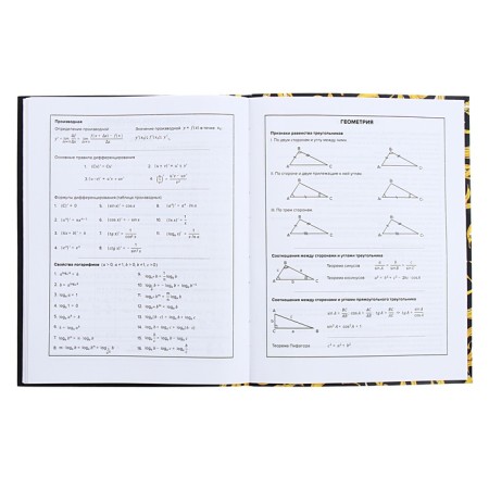 Universal Grade 1-11 Diary, 48 sheets "Art Banan", integral cover, matte lamination, selective UV-fluid-9
