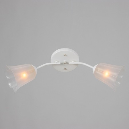 Causte "Online" (Flower) 2x15W E27 Model: BR 00197 White/Transparent-1