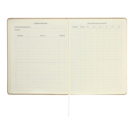 Universal diary for grade 1-11 Bow, hard cover, artificial leather, foil embossing, lies, 80 g/m2-6