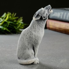 Souvenir 