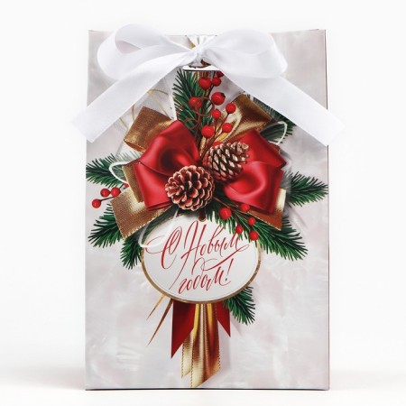 Gift package with the New Year tape, 13 x 19 x 9 cm, New Year-3