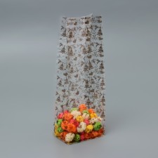 A package with a hard bottom of 6 x 8 x 23 cm 