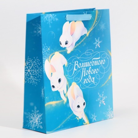 Laminated vertical "Stars" packet, M 26 x 30 x 9 cm, New Year-1