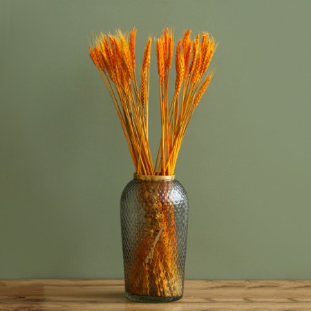 Dry Colossus of wheat, set 50 pcs., Yellow color-1