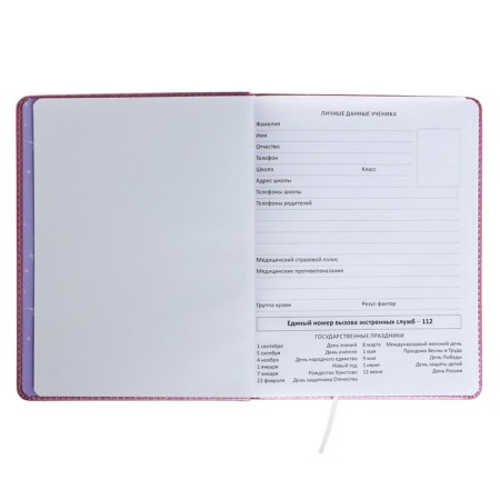 Universal diary for Butterfly 1-11 grade, hard cover, artificial leather, foam rubber, liesse, 80 g/m2-3