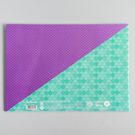 Album for drawing A4, 12 sheets 100 g/m², on paper, princesses-2