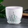 Flower lavender pot 2.5 l