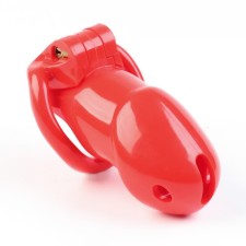 The fidelity of the fidelity of the oka-hood, male, plastic, 6 x 3.5 cm, set of rings, lock, key, red