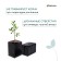 Package for seedlings, 1 l, 9 × 18 cm, polyethylene 50 microns thick, with perforation, black, Greengo