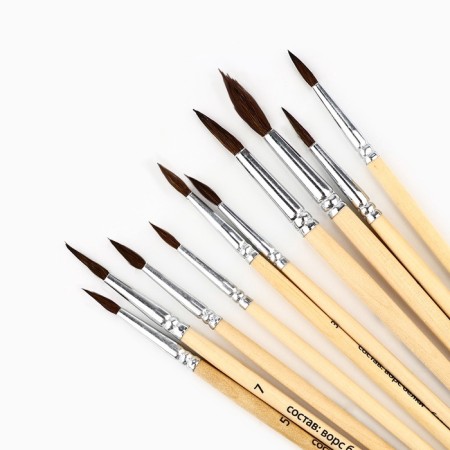 Drawing brush, set of protein round, 10 pcs. No. 1.2,3,4,5,6,7,8,9,10 Van Gogh-3