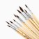 Drawing brush, set of protein round, 10 pcs. No. 1.2,3,4,5,6,7,8,9,10 Van Gogh