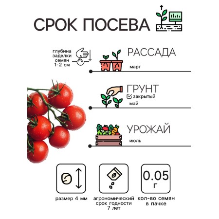 Seeds Tomat Cherry "Cherry Red", 0.05 g-1