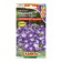 Flowers of Petunia "Mambo", F1, Heavenly blue, test tube, 7 pcs