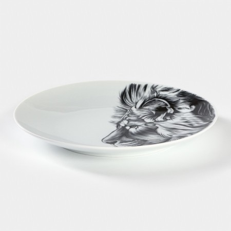 Porcelain plate "Leo", d = 24 cm, white-1