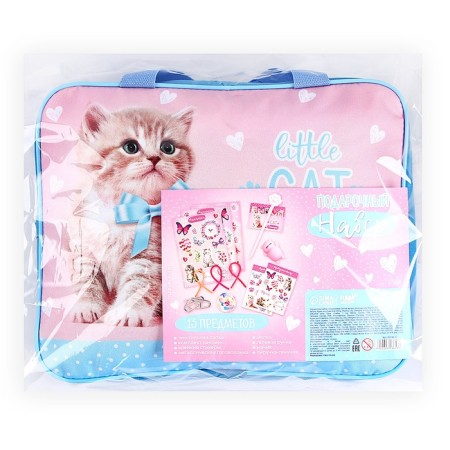 Gift set of the schoolboy "Kotik", 13 subjects-11